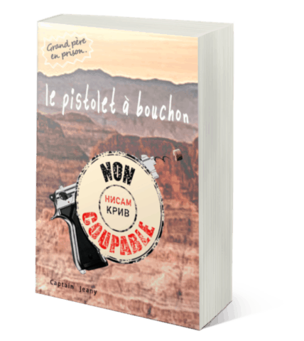 le pistolet livre