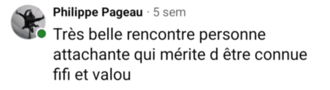 avis-5-pistolet-a-bouchon