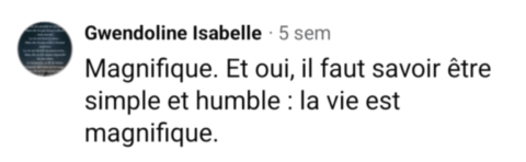 avis-6-pistolet-a-bouchon