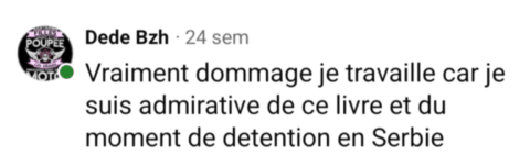 avis-29-pistolet-a-bouchon