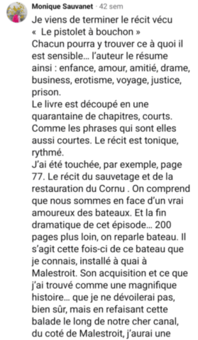 avis-19-pistolet-a-bouchon