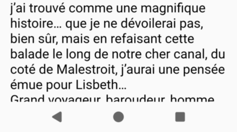 avis-20-pistolet-a-bouchon